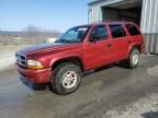 1999 Dodge Durango