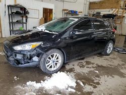 Salvage cars for sale at Ham Lake, MN auction: 2018 Ford Focus SE