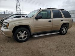 Salvage cars for sale at Adelanto, CA auction: 2007 Chevrolet Trailblazer LS