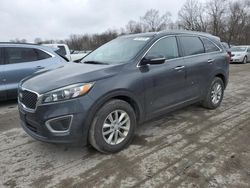 Salvage cars for sale at Ellwood City, PA auction: 2017 KIA Sorento LX