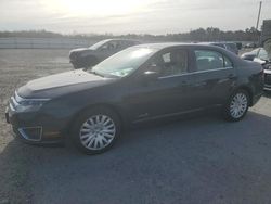 Salvage cars for sale at Fredericksburg, VA auction: 2010 Ford Fusion Hybrid