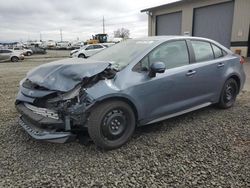 Salvage cars for sale at Eugene, OR auction: 2024 Toyota Corolla SE