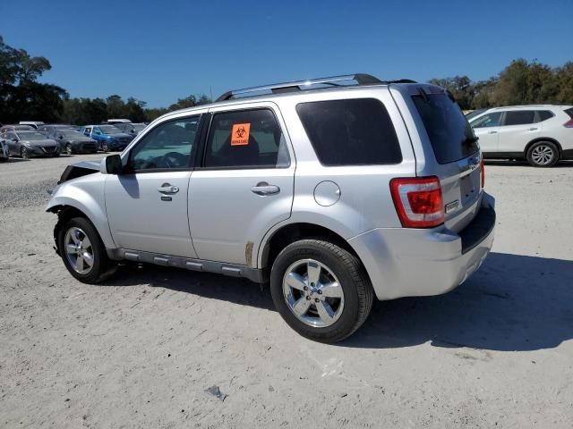 2010 Ford Escape Limited