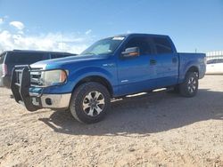 Salvage cars for sale at Andrews, TX auction: 2014 Ford F150 Supercrew