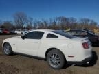 2010 Ford Mustang GT