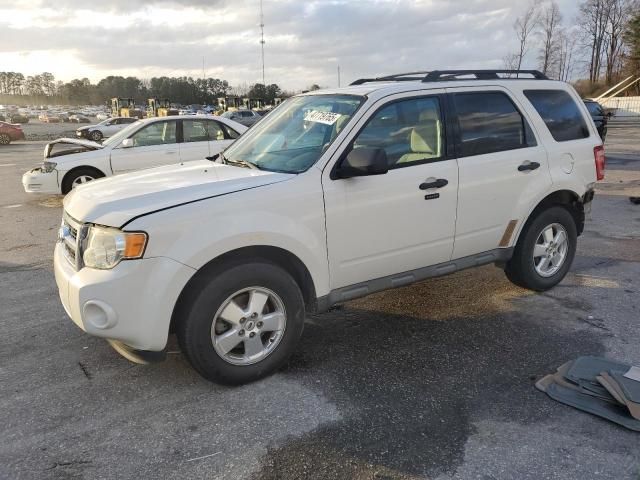 2012 Ford Escape XLT