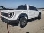 2023 Ford F150 Raptor