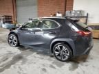 2024 Lexus UX 250H Base