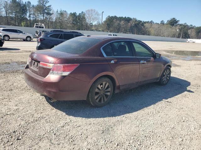 2011 Honda Accord EXL