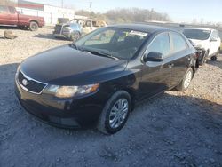 Salvage cars for sale at Montgomery, AL auction: 2013 KIA Forte EX