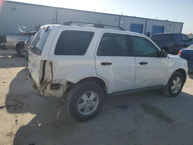 2011 Ford Escape XLT