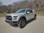 2019 Ford F150 Raptor