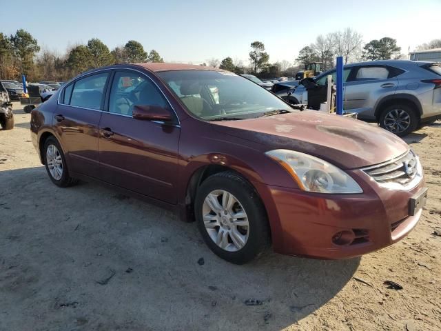 2010 Nissan Altima Base