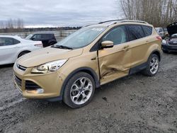 Salvage cars for sale at Arlington, WA auction: 2015 Ford Escape Titanium