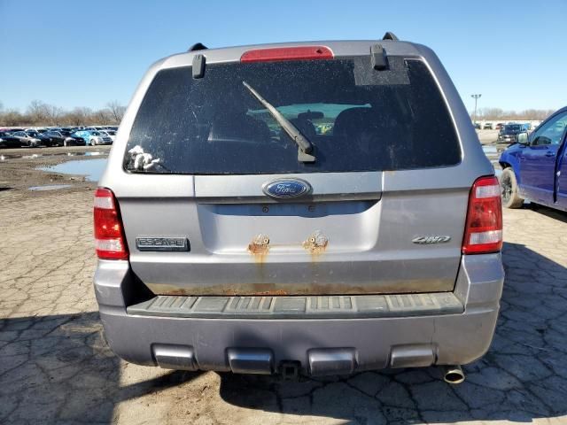 2008 Ford Escape XLT