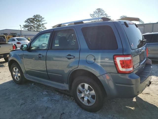 2010 Ford Escape Limited