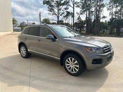 Salvage cars for sale at Orlando, FL auction: 2012 Volkswagen Touareg V6