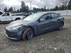 Salvage cars for sale at Graham, WA auction: 2023 Tesla Model 3