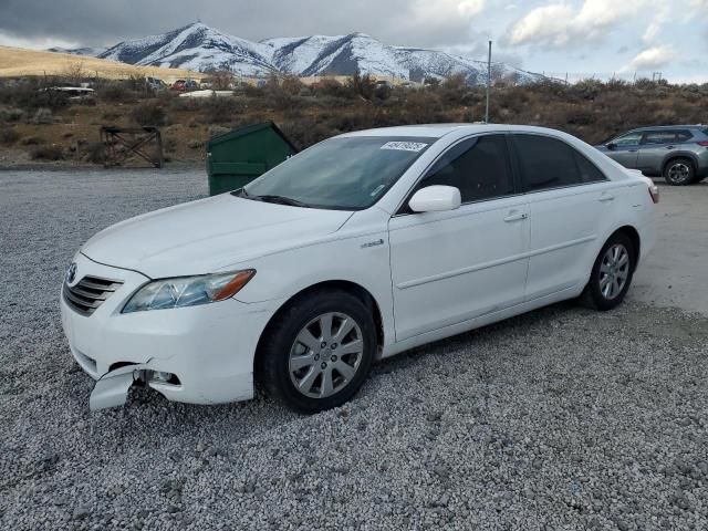 2009 Toyota Camry Hybrid