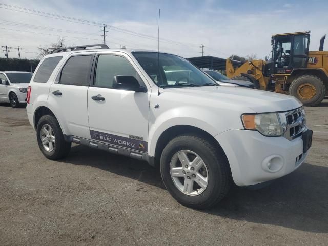 2008 Ford Escape HEV