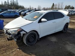 Carros salvage a la venta en subasta: 2016 Toyota Corolla L