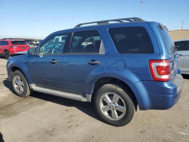 2009 Ford Escape XLT