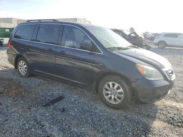 2008 Honda Odyssey EXL