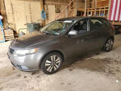 Salvage cars for sale at Rapid City, SD auction: 2013 KIA Forte EX