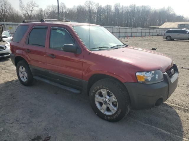 2006 Ford Escape XLT