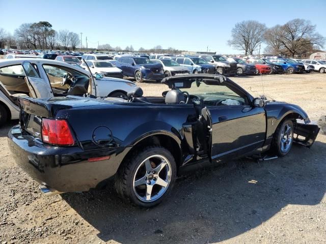 2004 Ford Mustang Cobra SVT