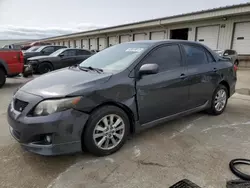 2010 Toyota Corolla Base en venta en Louisville, KY