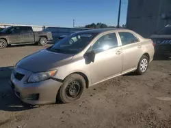 Salvage cars for sale at Fredericksburg, VA auction: 2009 Toyota Corolla Base