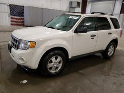 Salvage cars for sale at Avon, MN auction: 2011 Ford Escape XLT