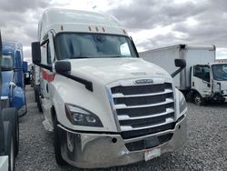 Salvage trucks for sale at North Las Vegas, NV auction: 2023 Freightliner Cascadia 126