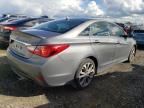 2014 Hyundai Sonata SE