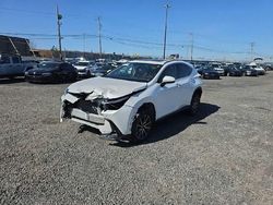 Lexus nx 350 pre Vehiculos salvage en venta: 2024 Lexus NX 350 Premium