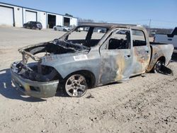 Salvage trucks for sale at Conway, AR auction: 2010 Dodge RAM 1500