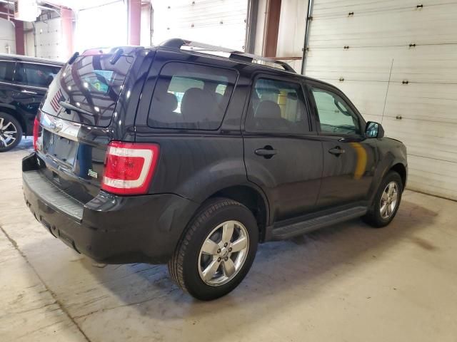 2011 Ford Escape Limited