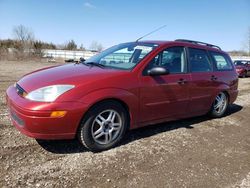 Salvage cars for sale at Columbia Station, OH auction: 2001 Ford Focus SE