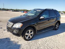 Salvage cars for sale at Arcadia, FL auction: 2009 Mercedes-Benz ML 350