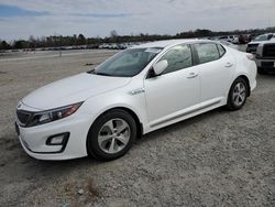 Salvage cars for sale at Lumberton, NC auction: 2014 KIA Optima Hybrid