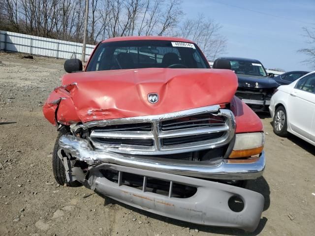 2000 Dodge Dakota