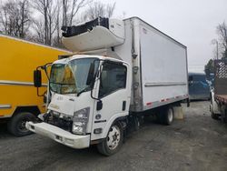 Salvage trucks for sale at Waldorf, MD auction: 2019 Isuzu NRR Refrigerated Truck