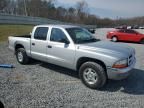 2001 Dodge Dakota Quattro