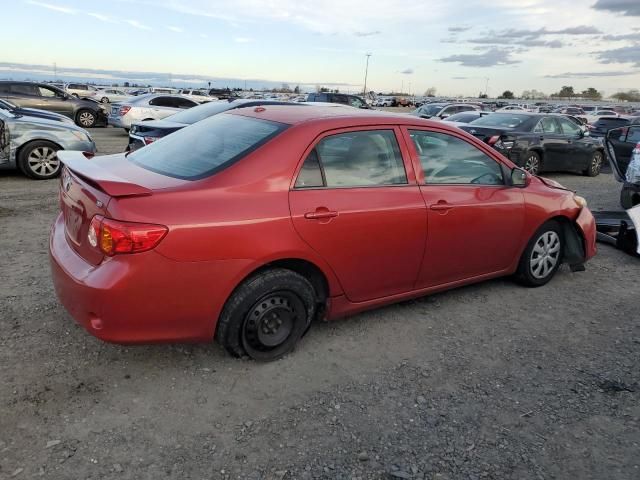 2009 Toyota Corolla Base