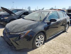 Salvage cars for sale at Bridgeton, MO auction: 2024 Toyota Corolla LE