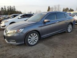 Salvage cars for sale at Bowmanville, ON auction: 2014 Honda Accord EXL