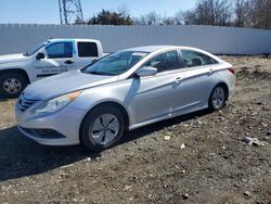 Hyundai Vehiculos salvage en venta: 2014 Hyundai Sonata GLS