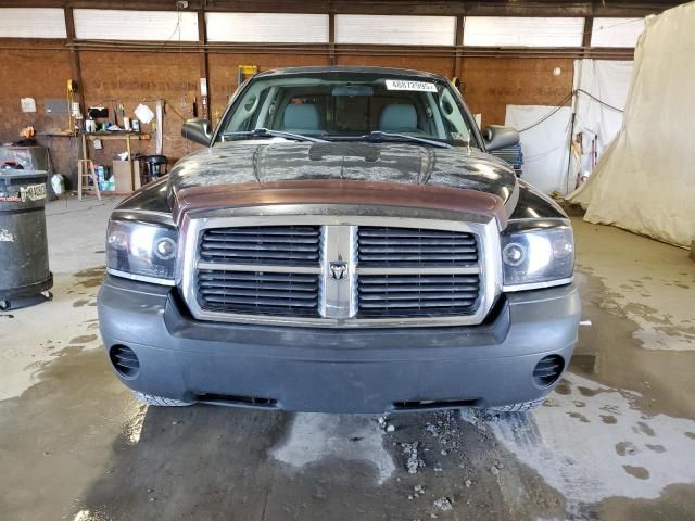 2005 Dodge Dakota Quattro