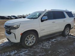 Salvage cars for sale at Davison, MI auction: 2023 Chevrolet Tahoe K1500 Premier